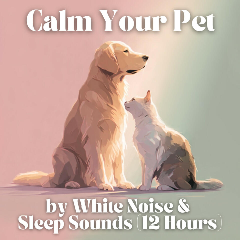 Calm Your Pet by White Noise and Sleep Sounds (12 Hours)