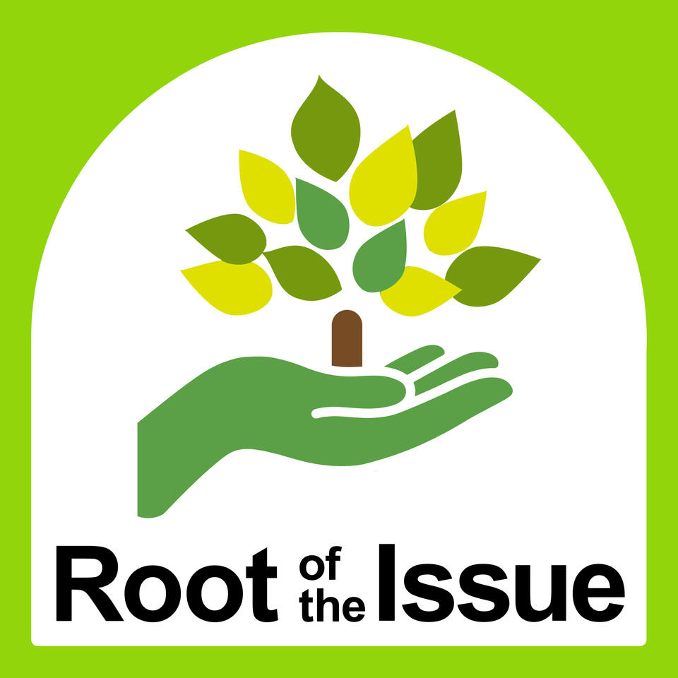 Root of the Issue