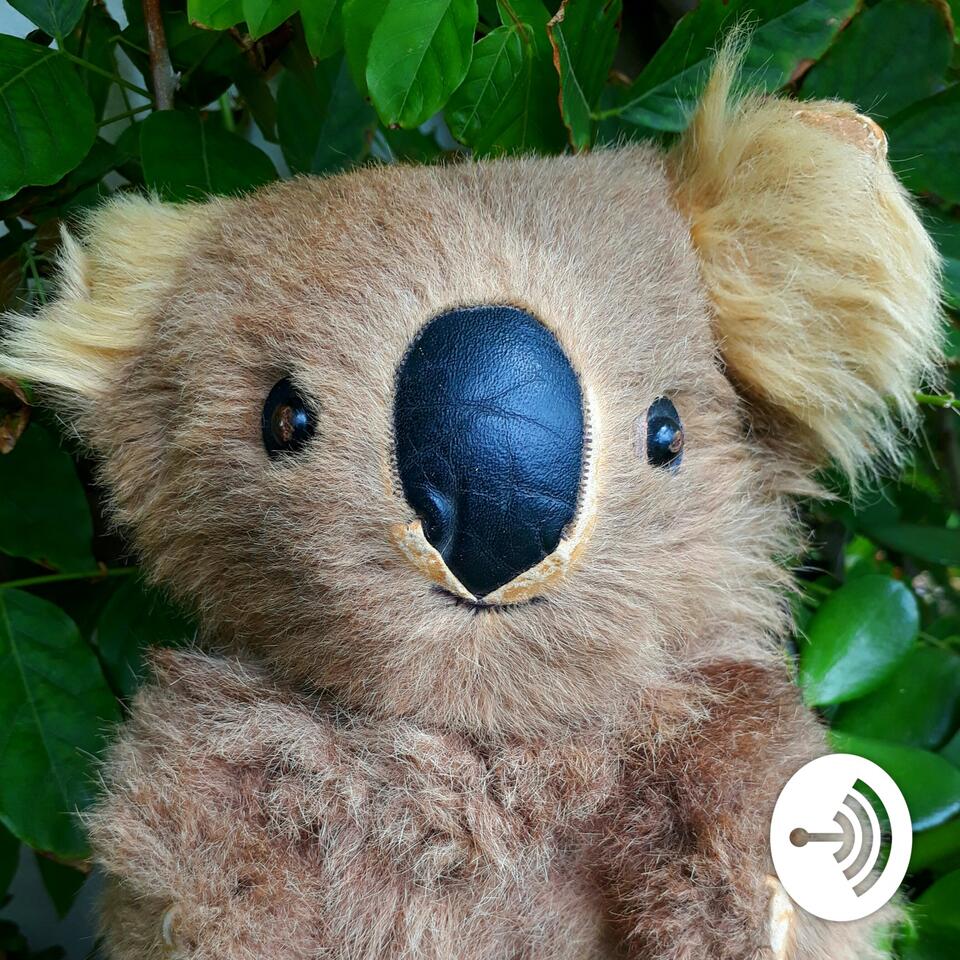 Chocie Radio for Kids 🐨