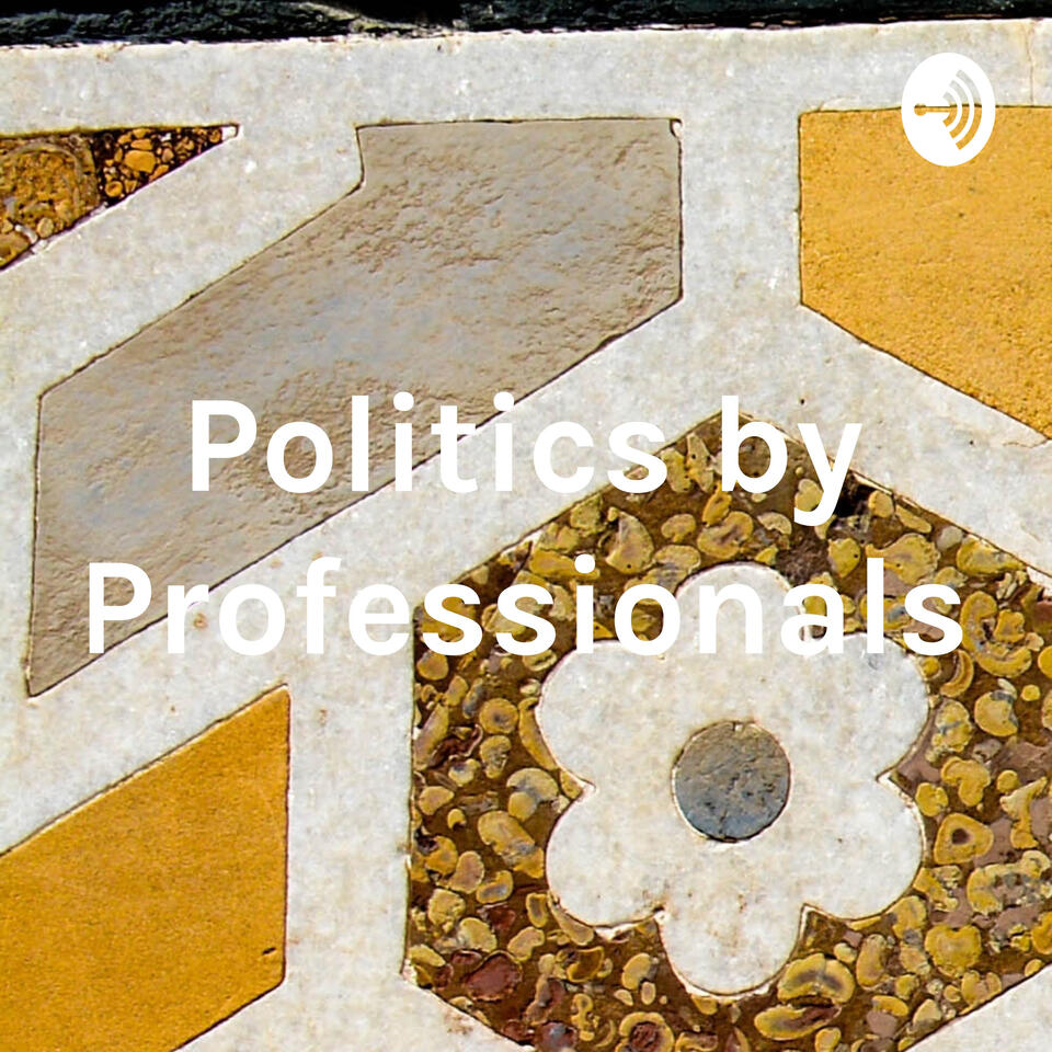 Politics by Professionals
