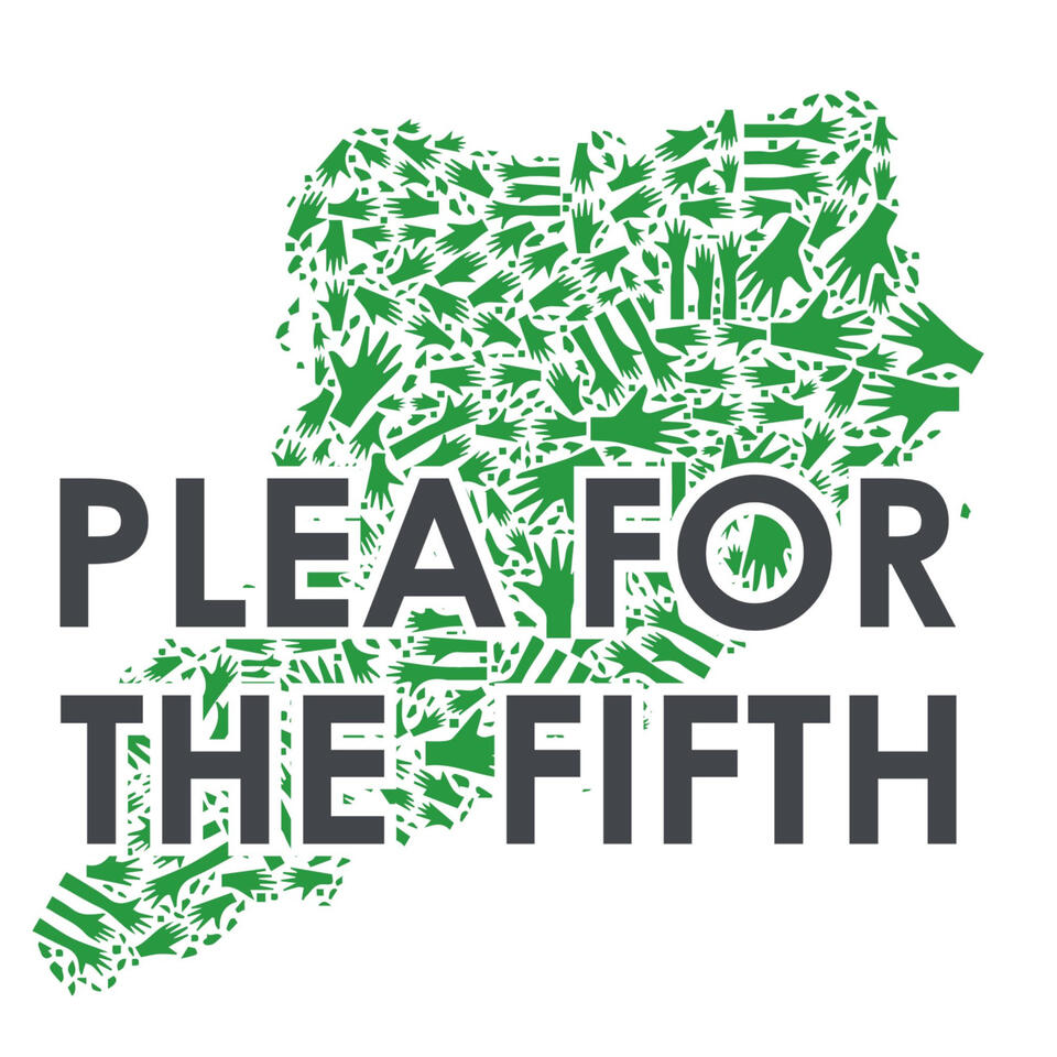 Plea for the Fifth