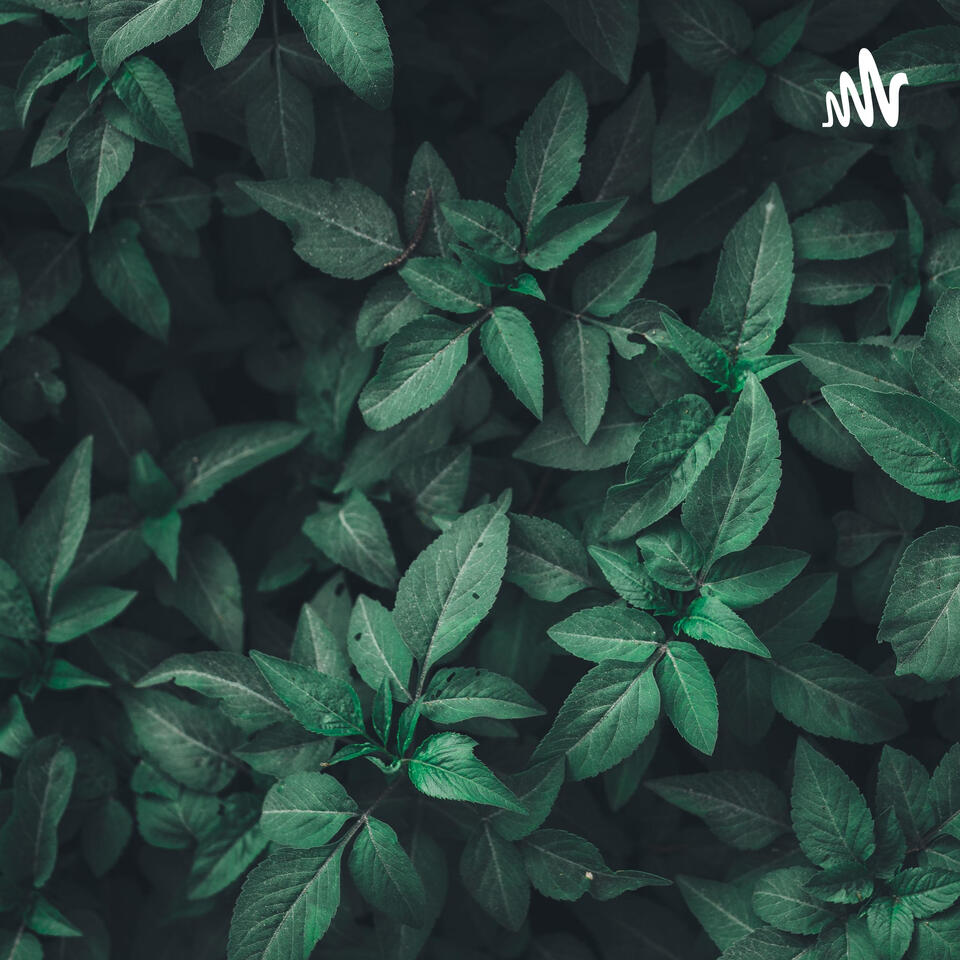 The green way