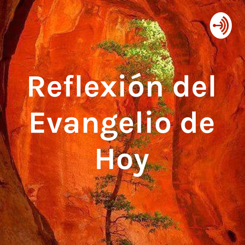 Reflexión del Evangelio de Hoy