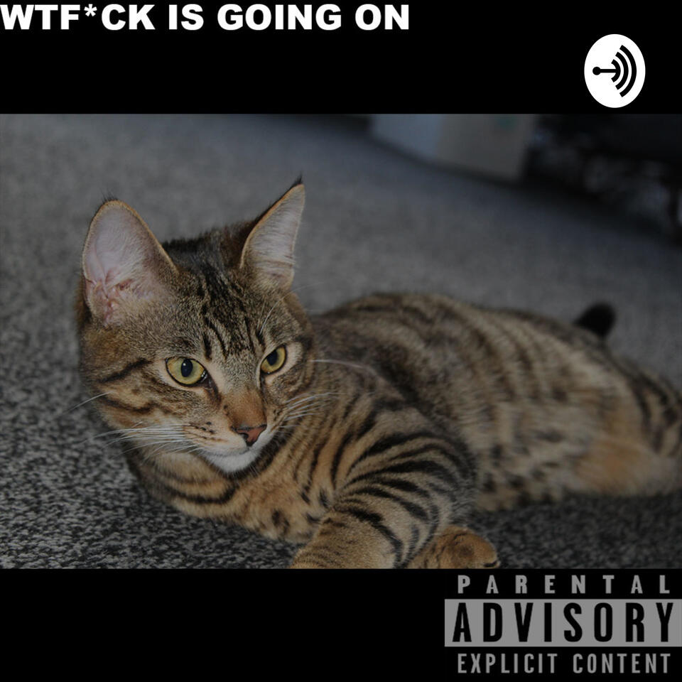 WTF*CKISGOINGON