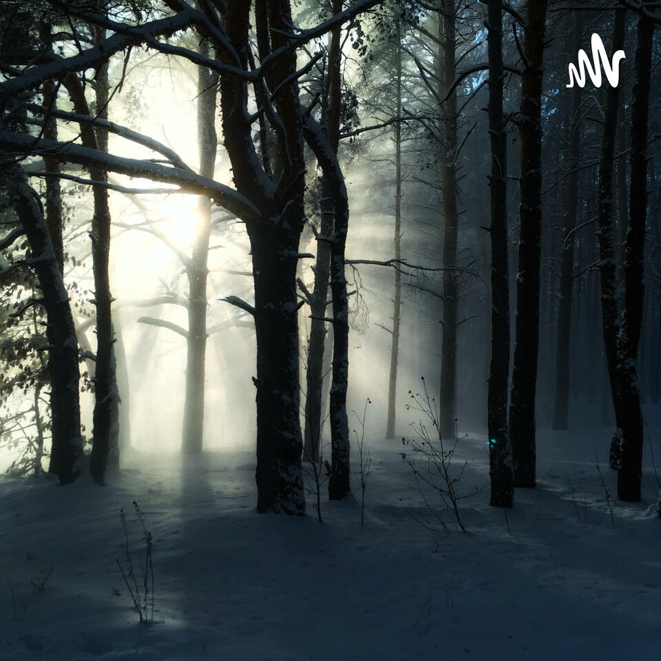 遇到最好的别人