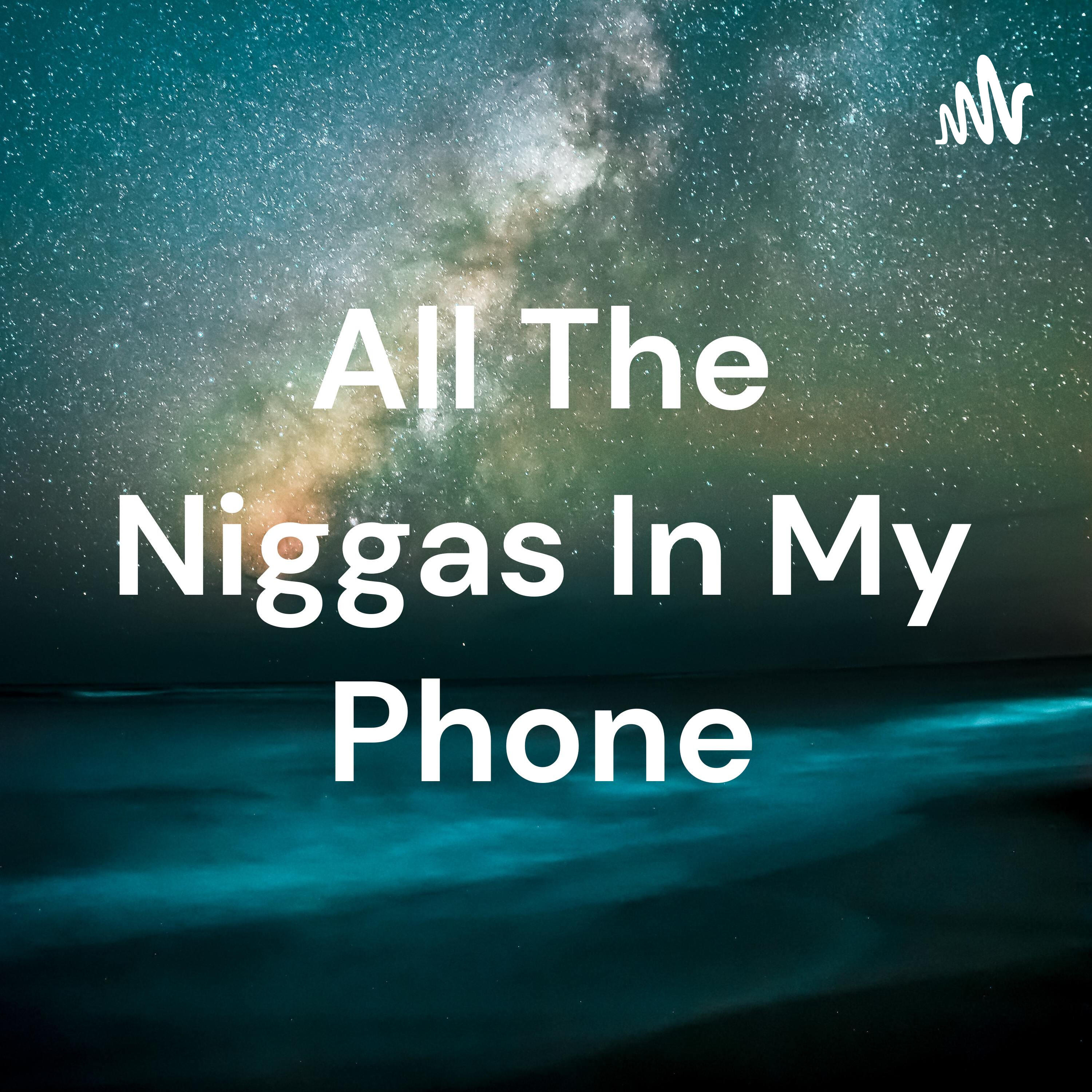 All The Niggas In My Phone iHeart