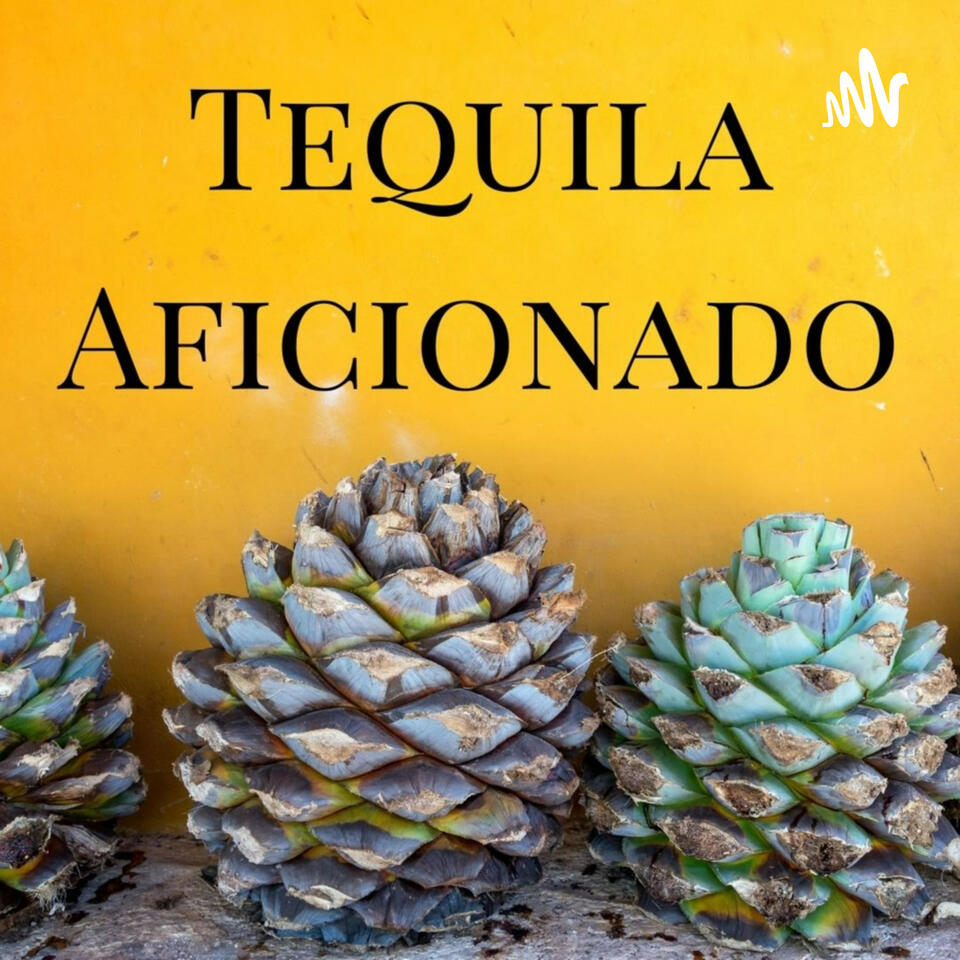 Tequila Aficionado