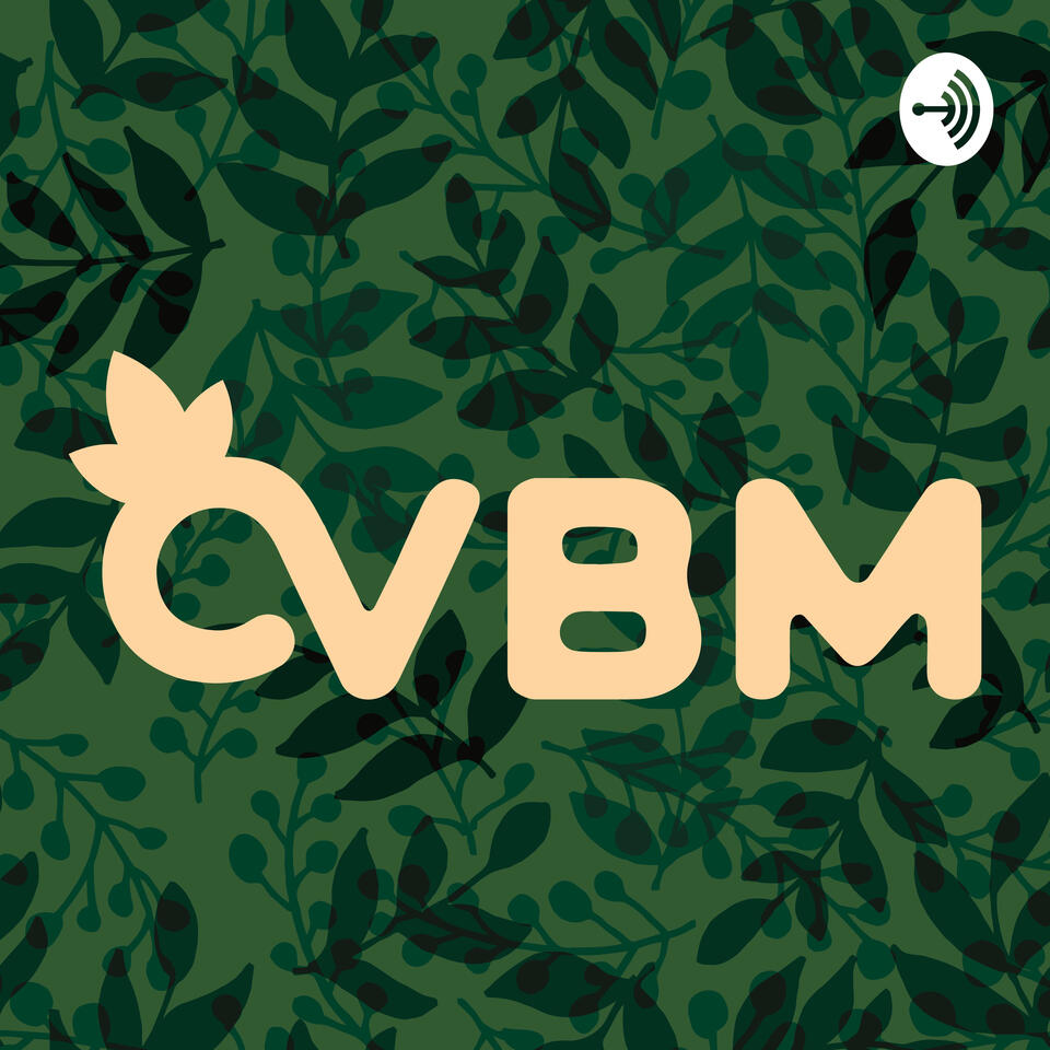 Vineyard Bible Ministry