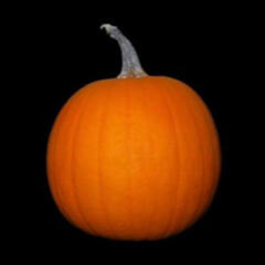 Show #34 - Your Misery Root - The Jack O'Lantern Show