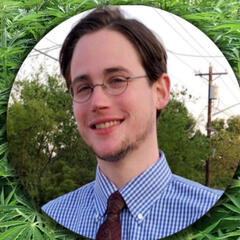 Episode 30: Decriminalize Denton Tristan Seikel - Lonestar Collective