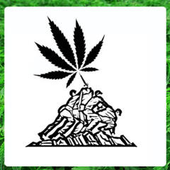 Video Episode 31: Texas Veterans Medical Cannabis Conference - Lonestar Collective