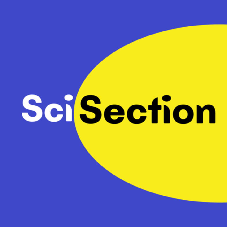 SciSection