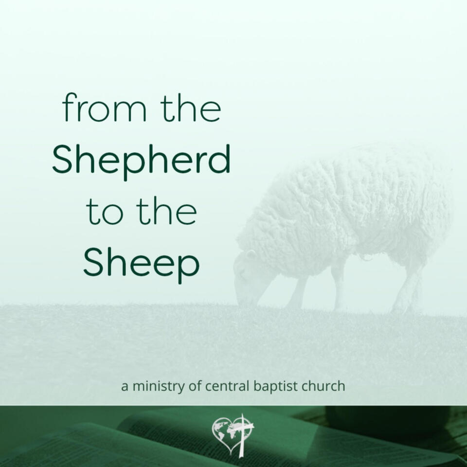 From the Shepherd to the Sheep