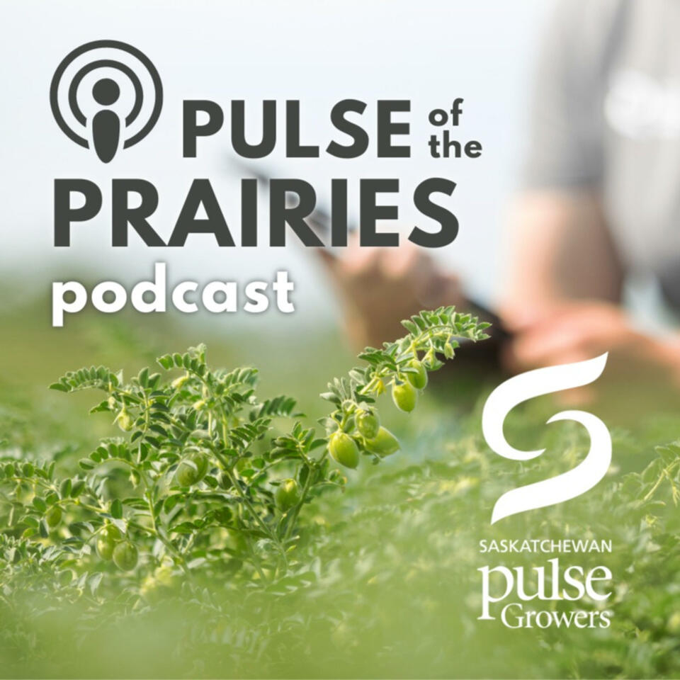 Pulse of the Prairies