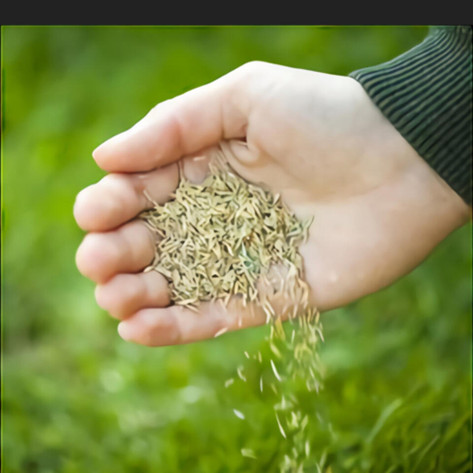 Sowers of the seed