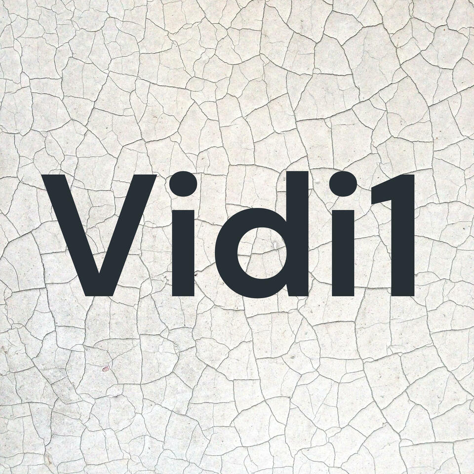 Vidi1