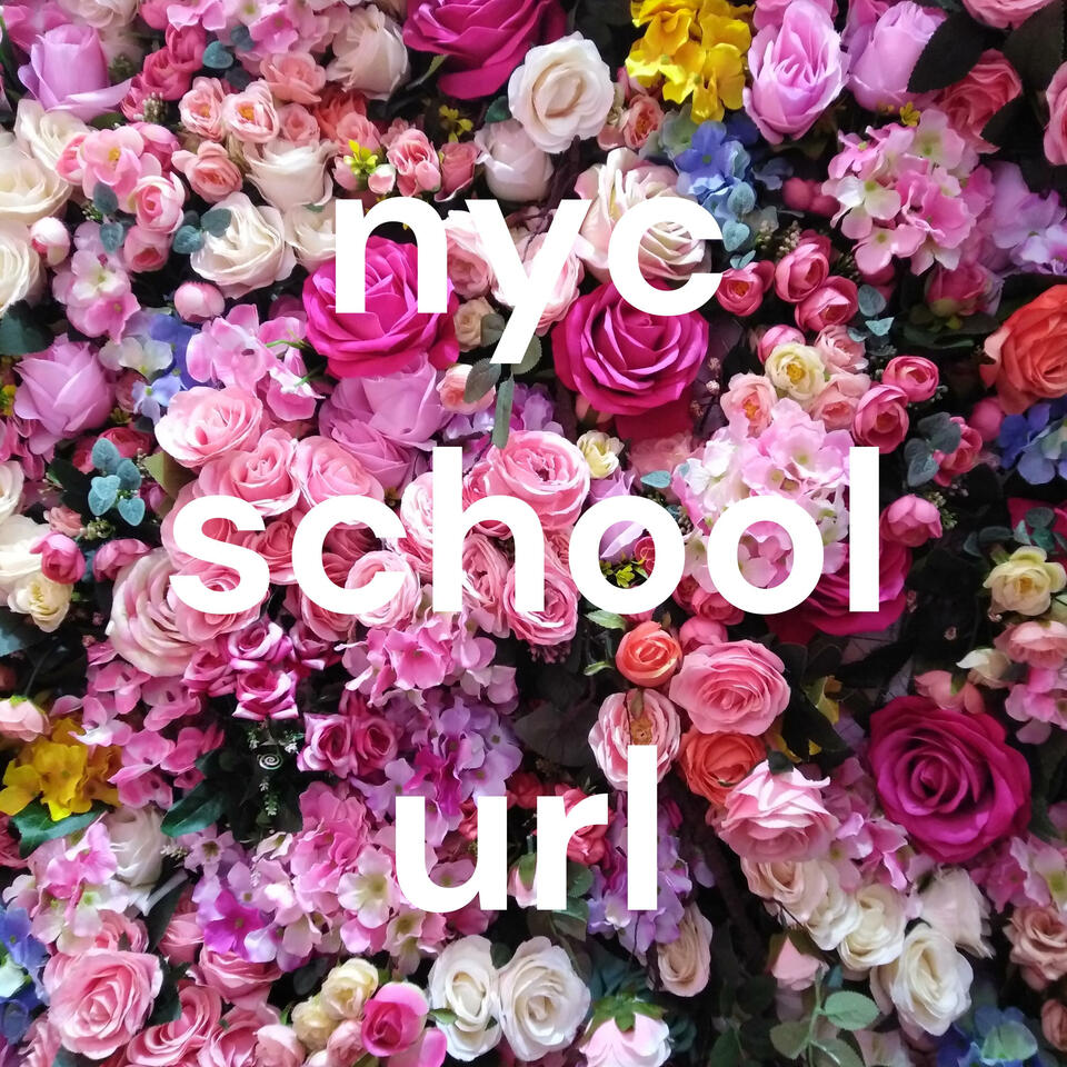 nyc school url
