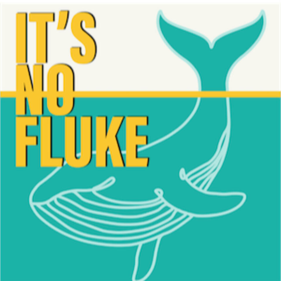 It's No Fluke
