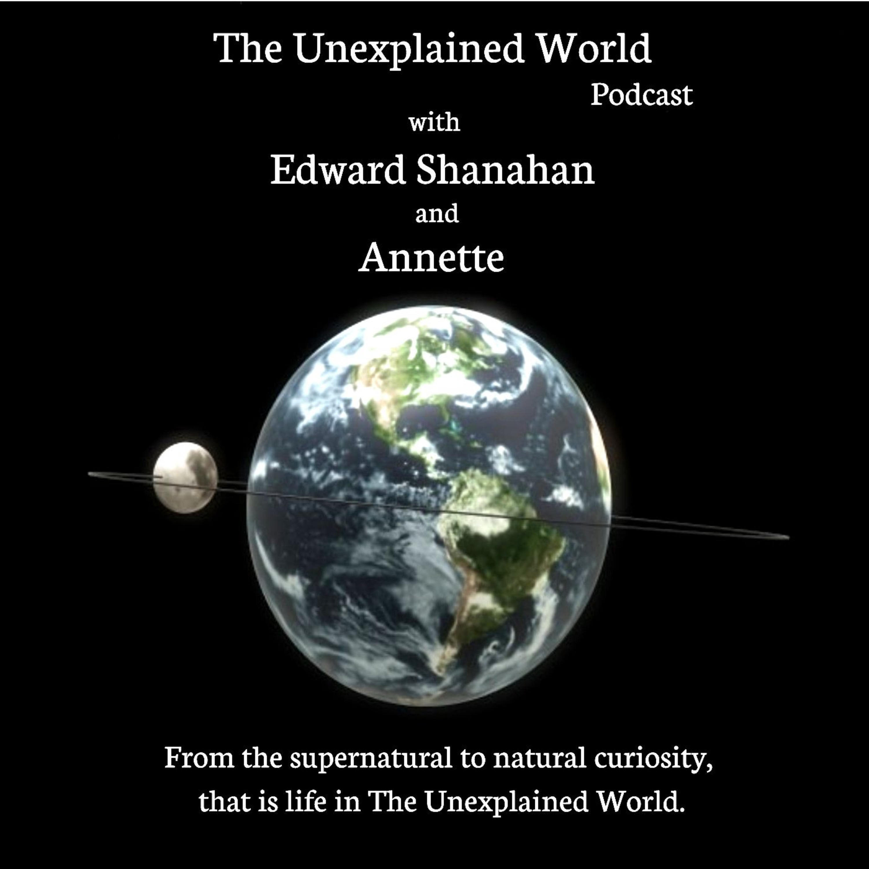 Listen to the The Unexplained World Episode - Interview Chicago Paranormal Investigator Dale Kaczmarek on location. Bachelor's Grove Cemetery, Monks Castle and more with Edward Shanahan on iHeartRadio | iHeartRadio