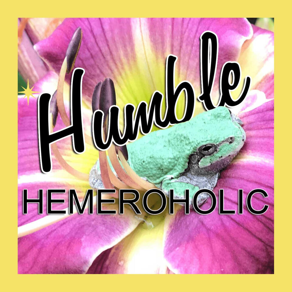 The Humble Hemeroholic