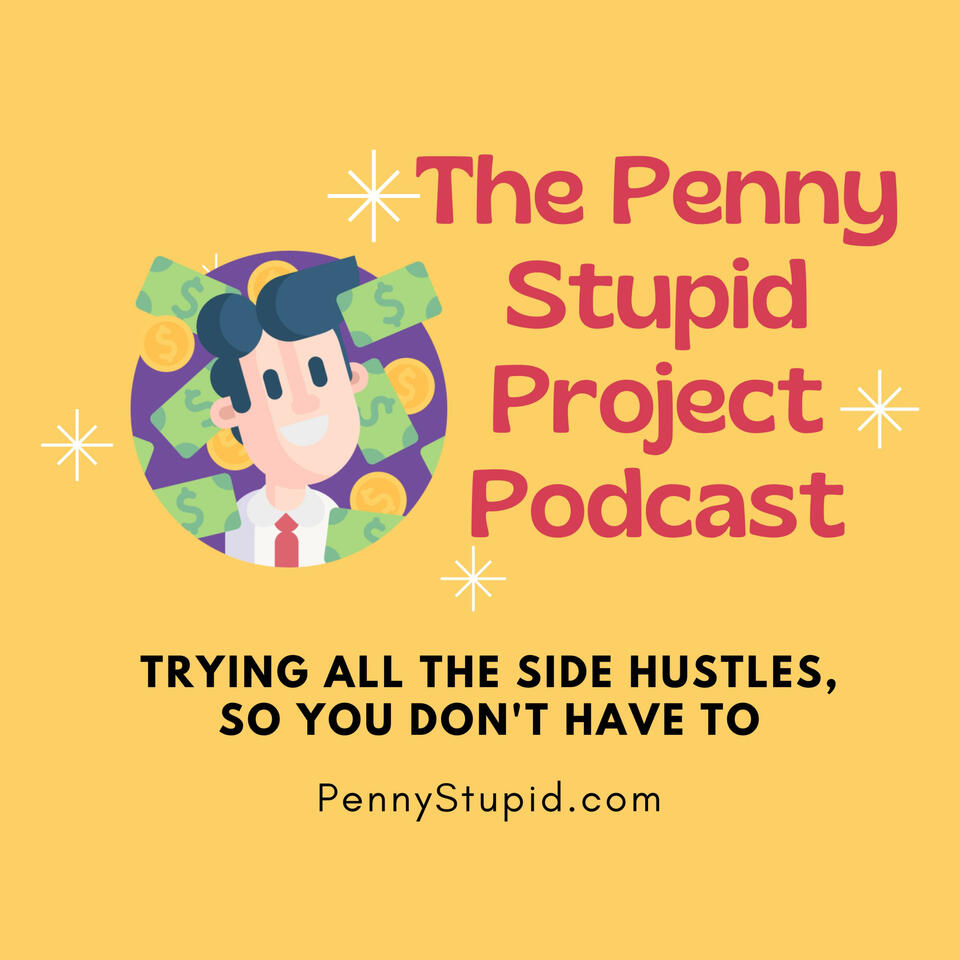 The Penny Stupid Project