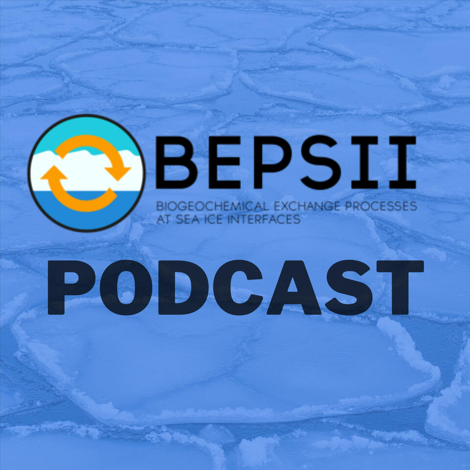 BEPSII Podcast: Sea Ice Research, Studies, and Scientists