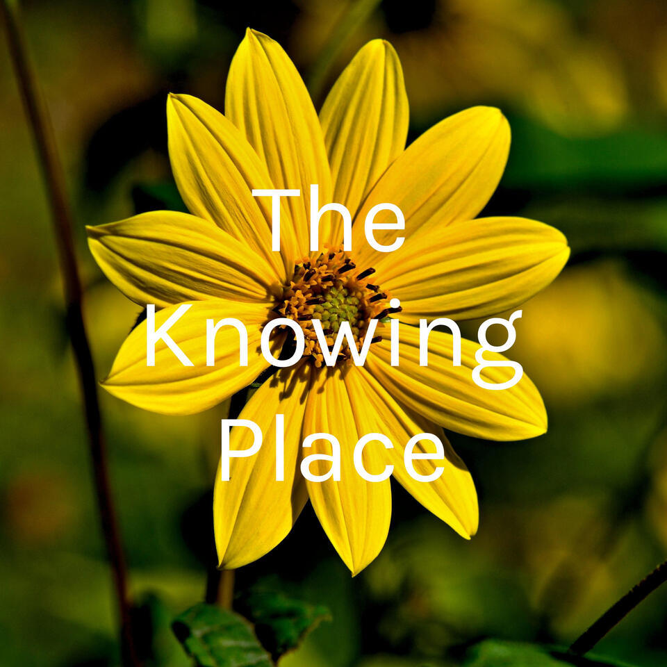 The Knowing Place