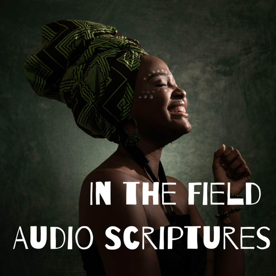 In the Field Audio Scriptures