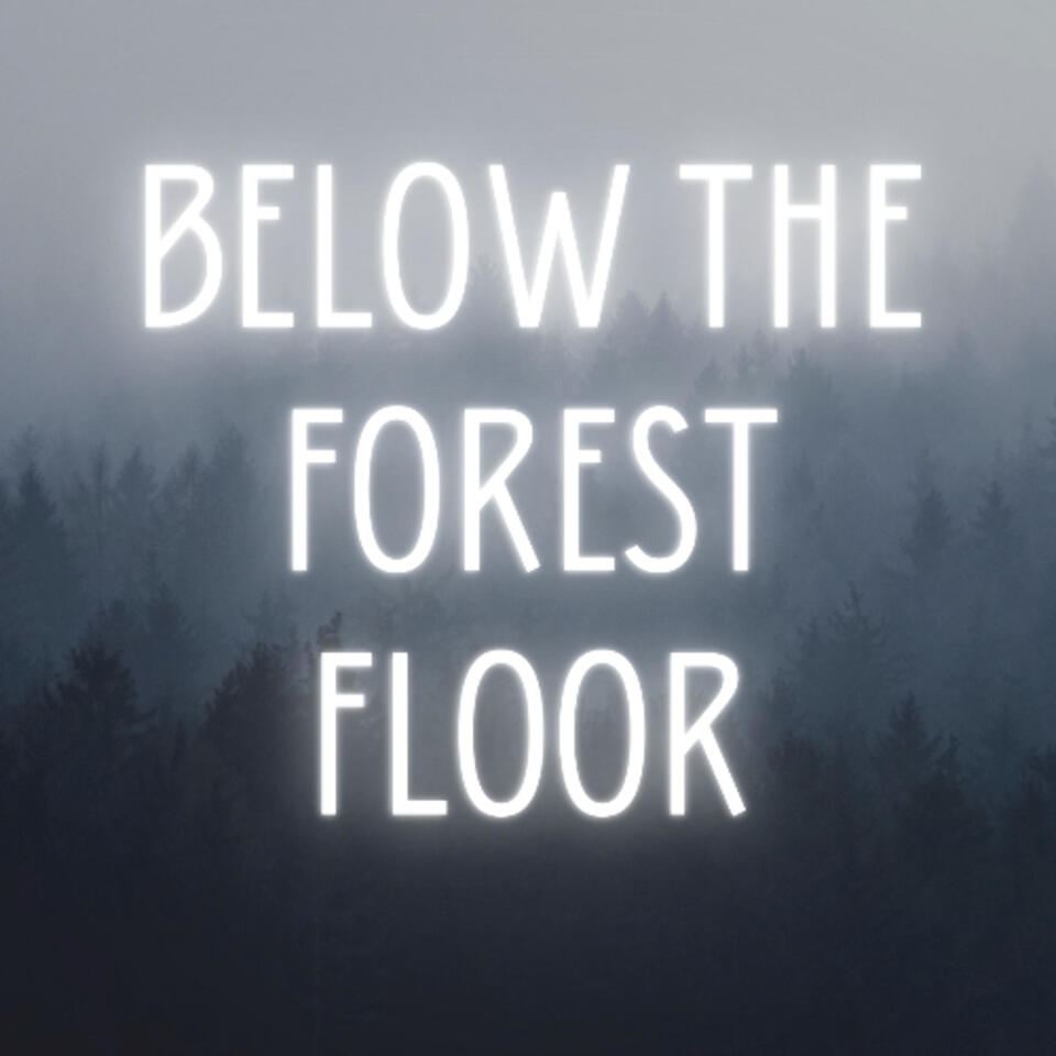Below The Forest Floor