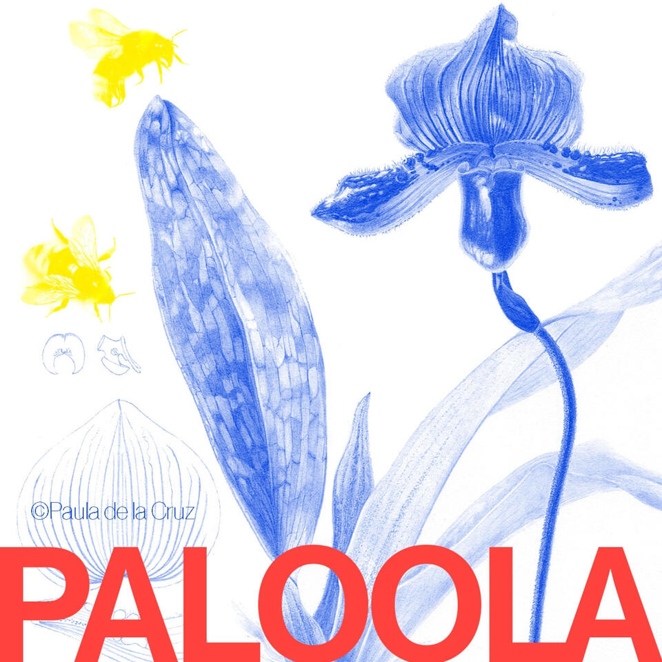 PALOOLA: Botanical