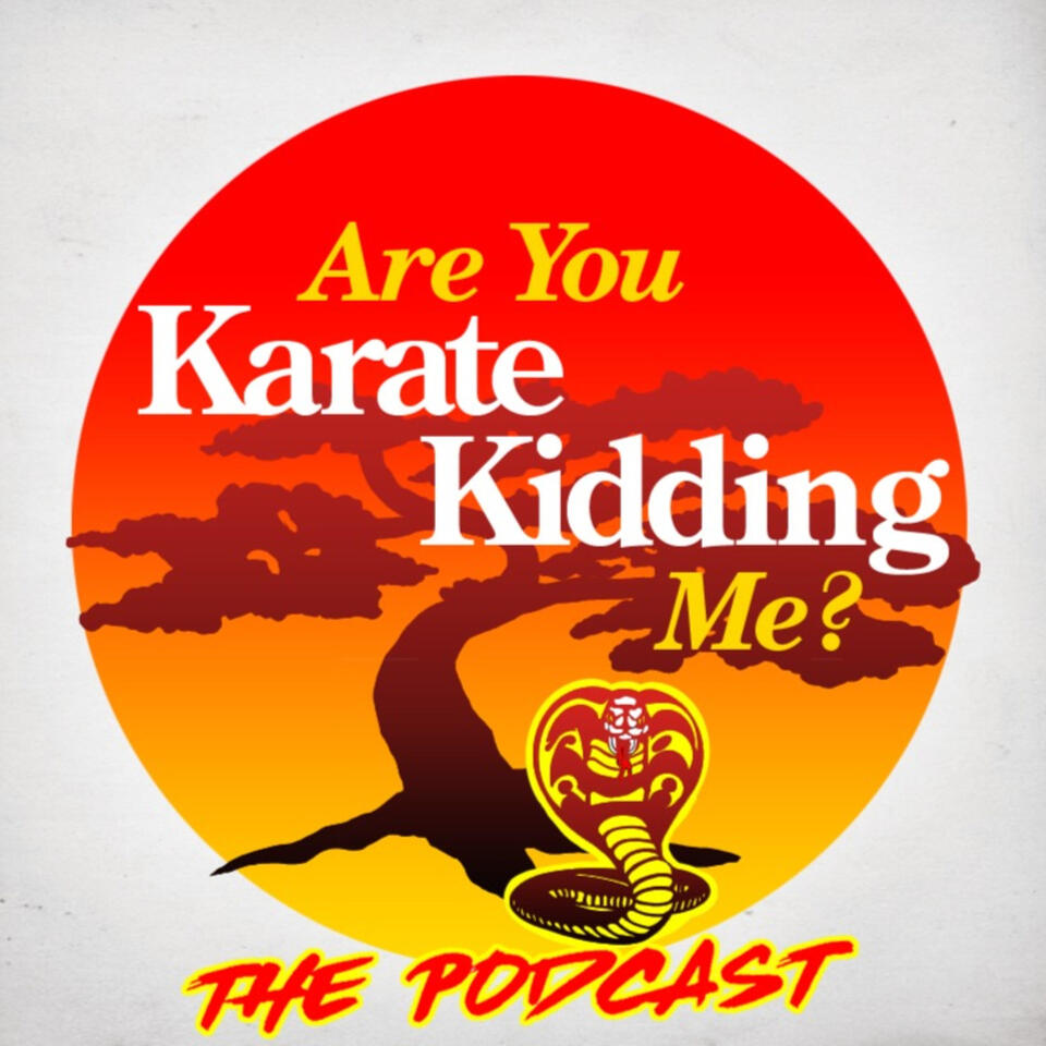 Are You Karate Kidding Me?