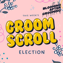 Groom Scroll 2: Election - Blooming After Grooming