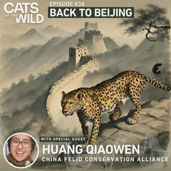 Cats of the Wild