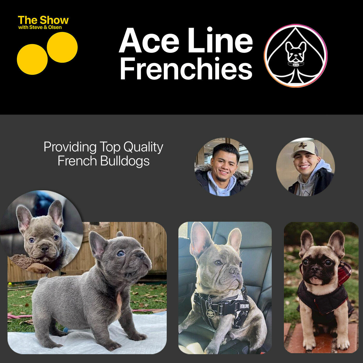 Top of store the line frenchies