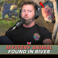 Wild Times: Wildlife Education