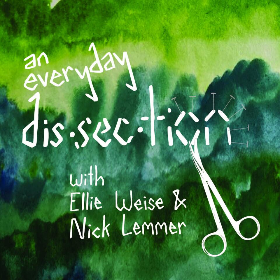 An Everyday Dissection