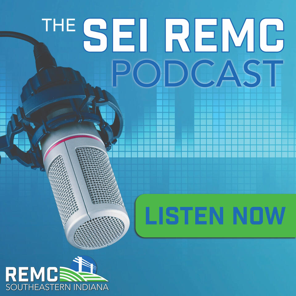 The SEI REMC Podcast