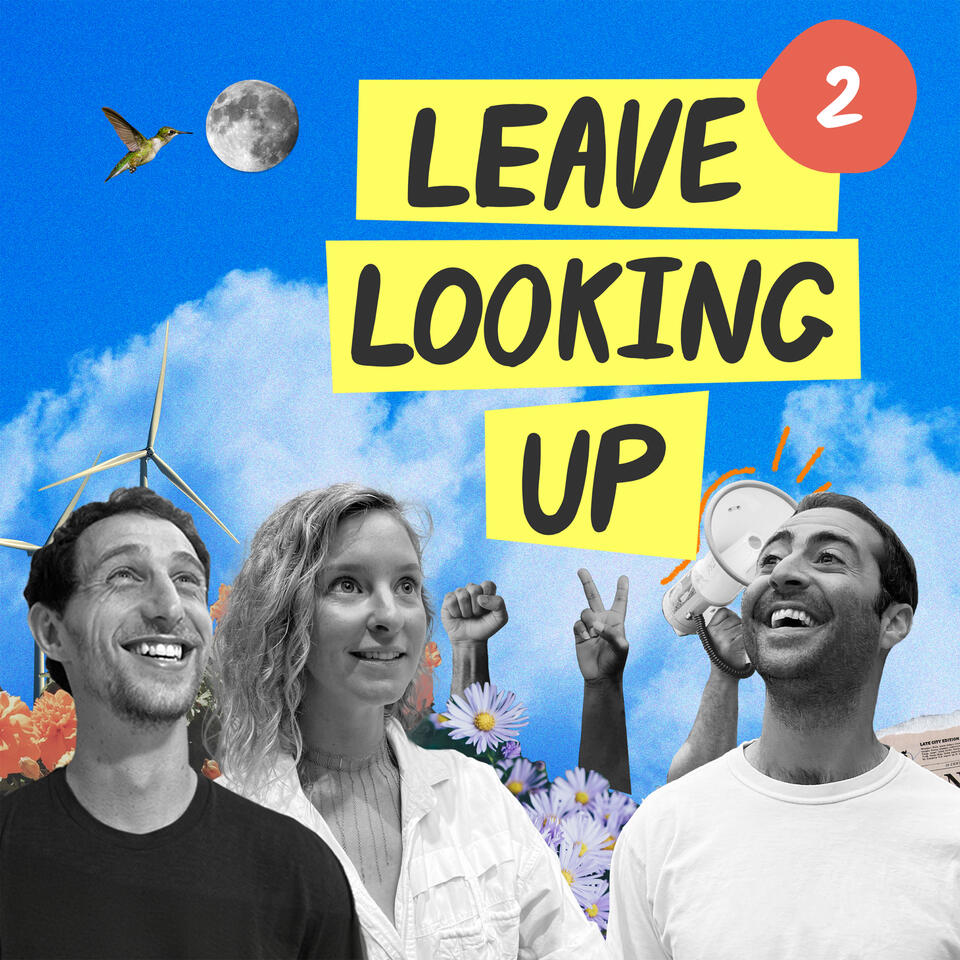 Leave Looking Up