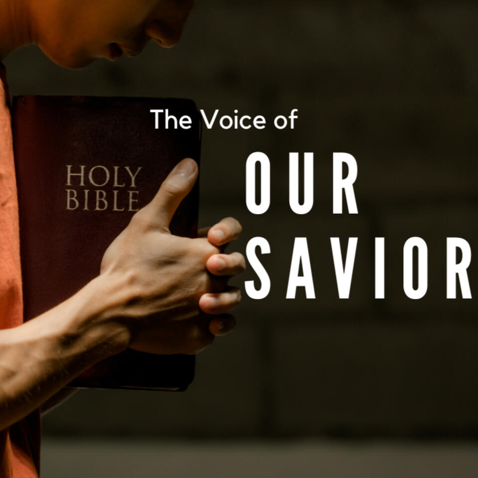 The Voice of Our Savior