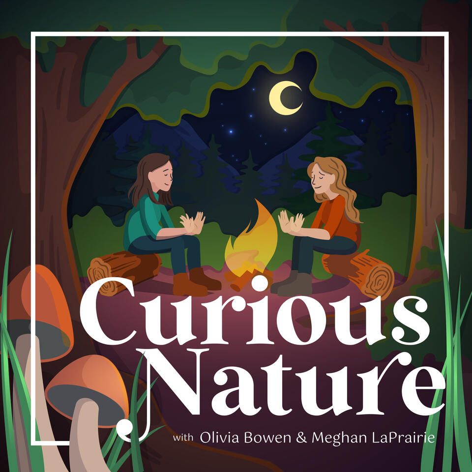 Curious Nature