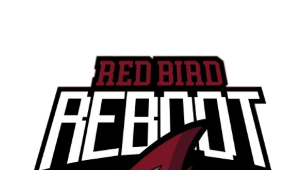 Revenge of the Birds, an Arizona Cardinals community