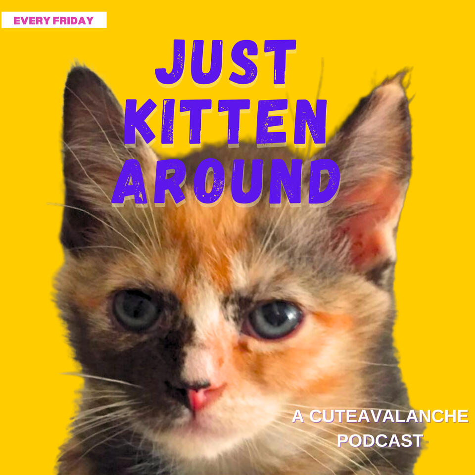 Just Kitten Around from Cuteavalanche - the Pawdcast for Cat Lovers - hosted by Sam Proof