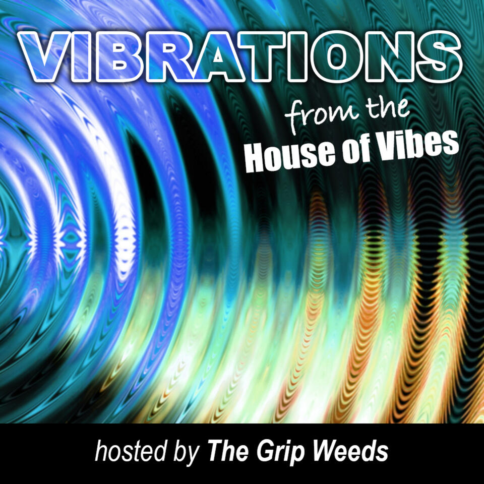Vibrations From The House Of Vibes