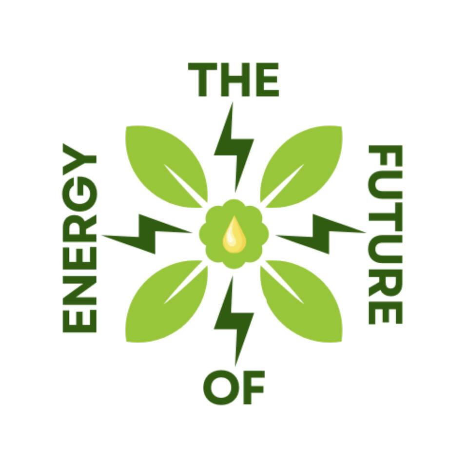 The Future of Energy