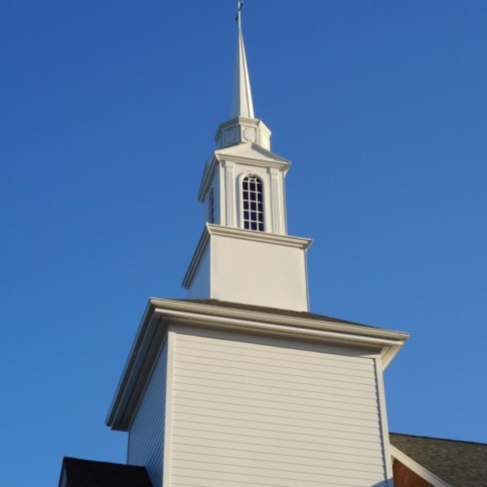 What Does The Bible Say? with Pastor Don Reynolds
