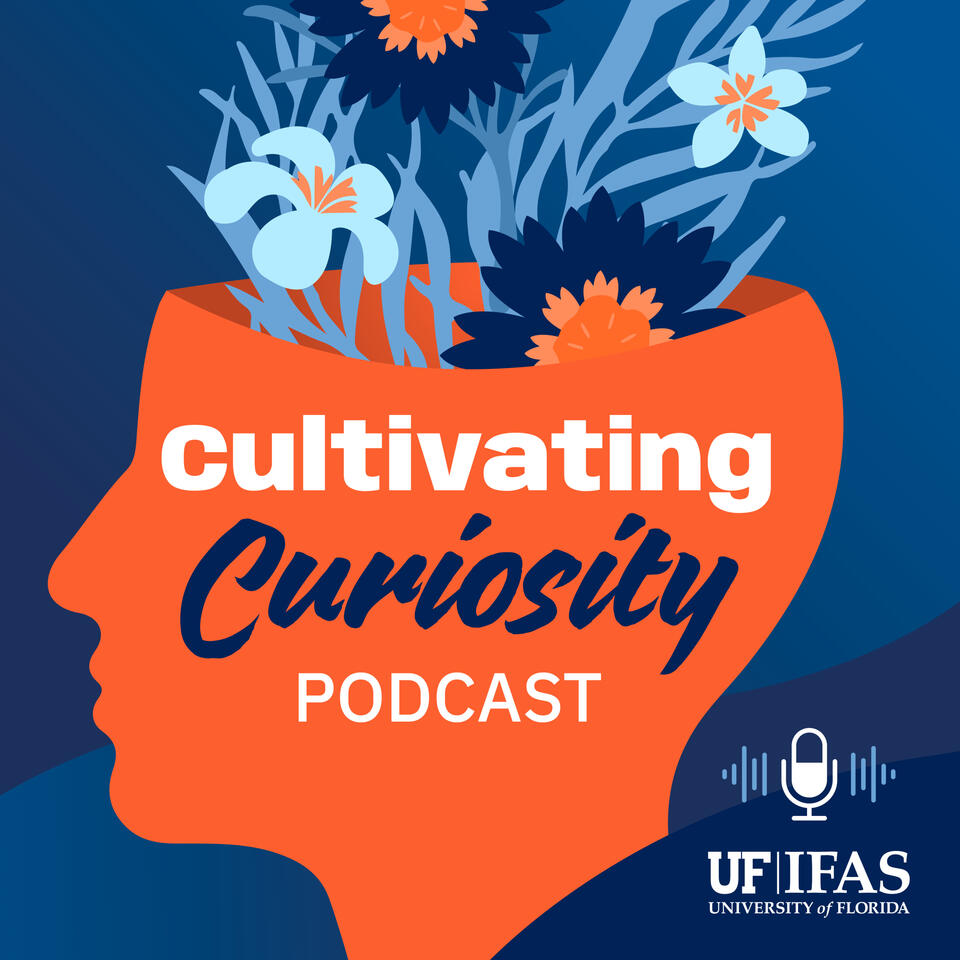 Cultivating Curiosity