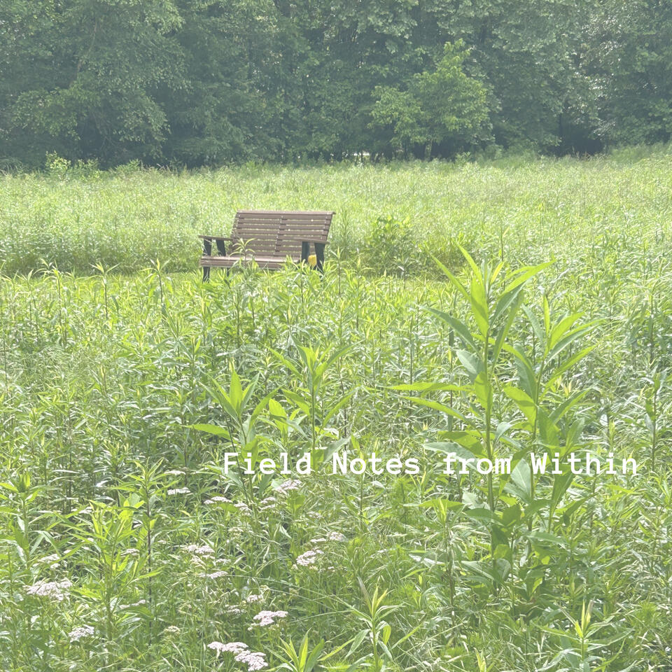 Field Notes from Within