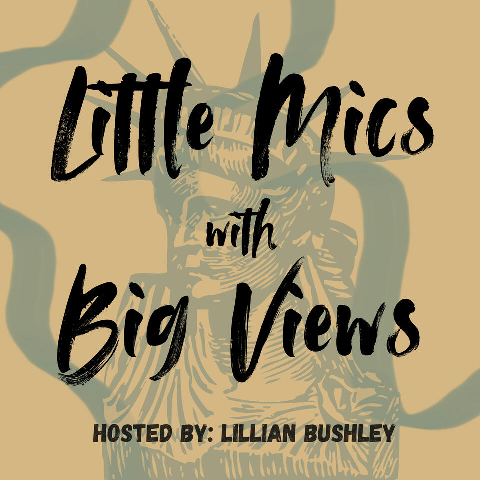 Little Mics with Big Views