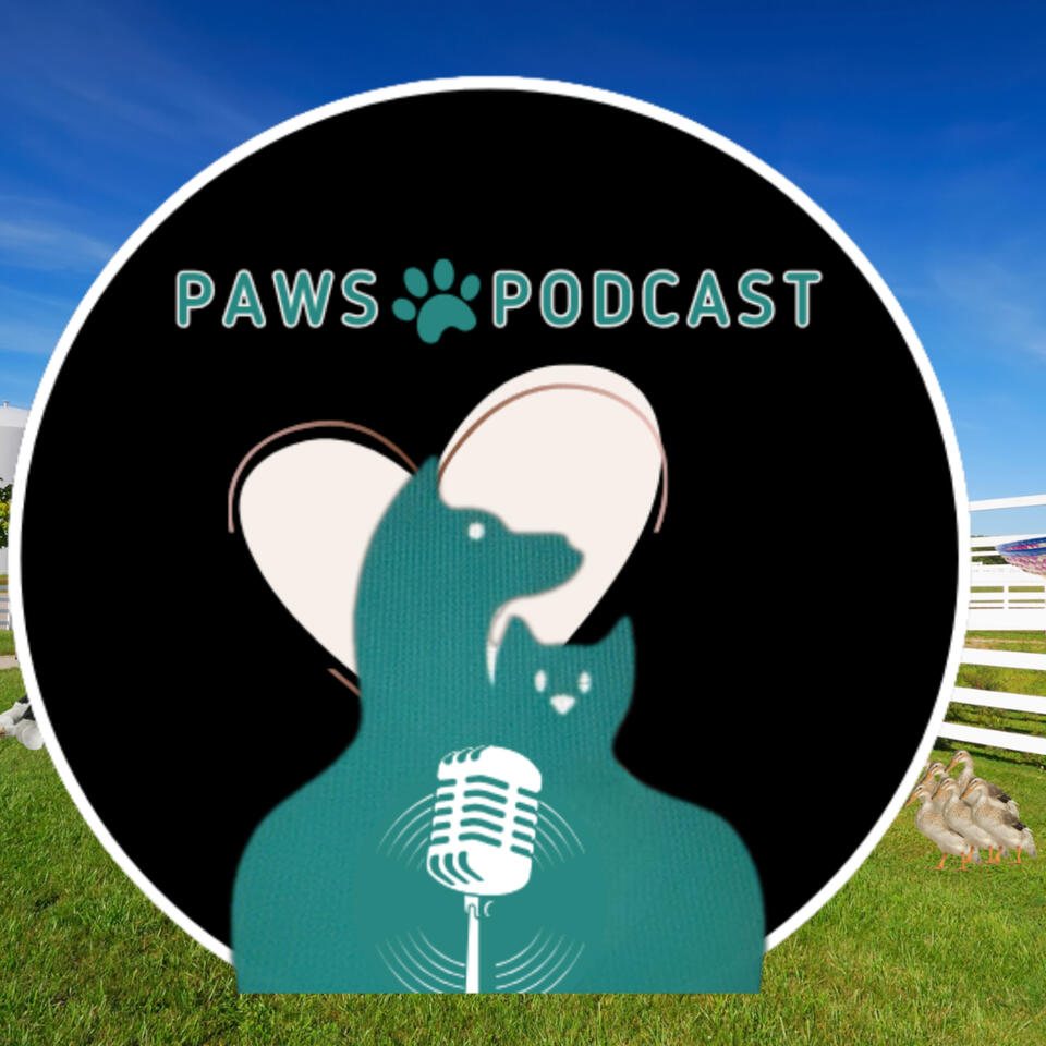 Paws Podcast