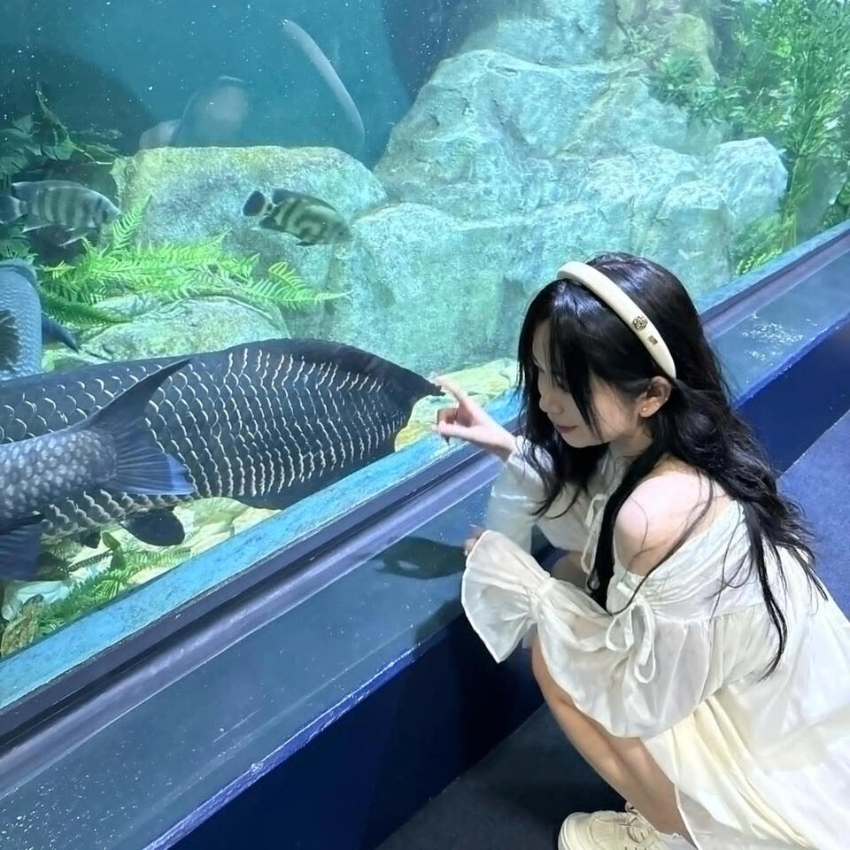 Halakomo